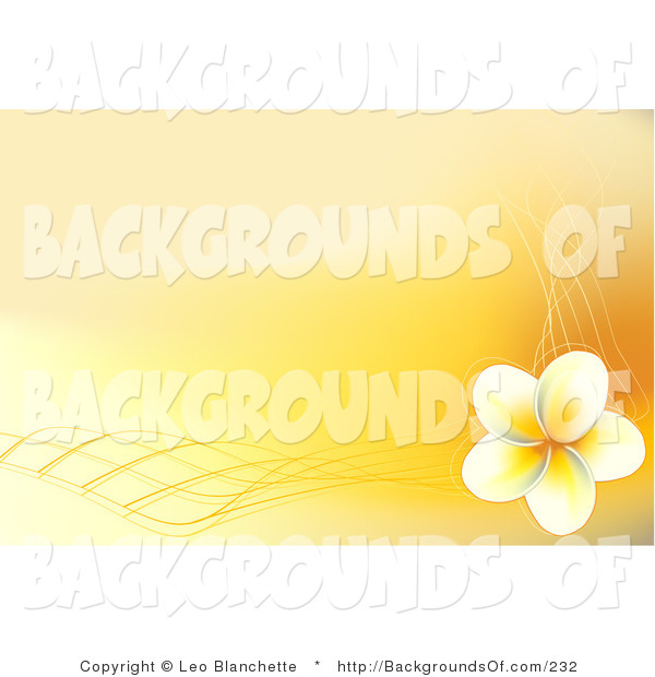 Vector Background Of A Yellow Frangipani Plumeria By Leo