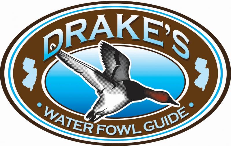 Drake Waterfowl Wallpaper