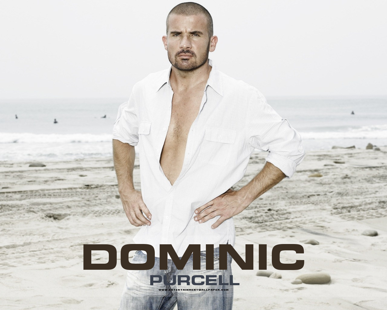 Dominic Purcell I M Mirin No Homo Bodybuilding Forums