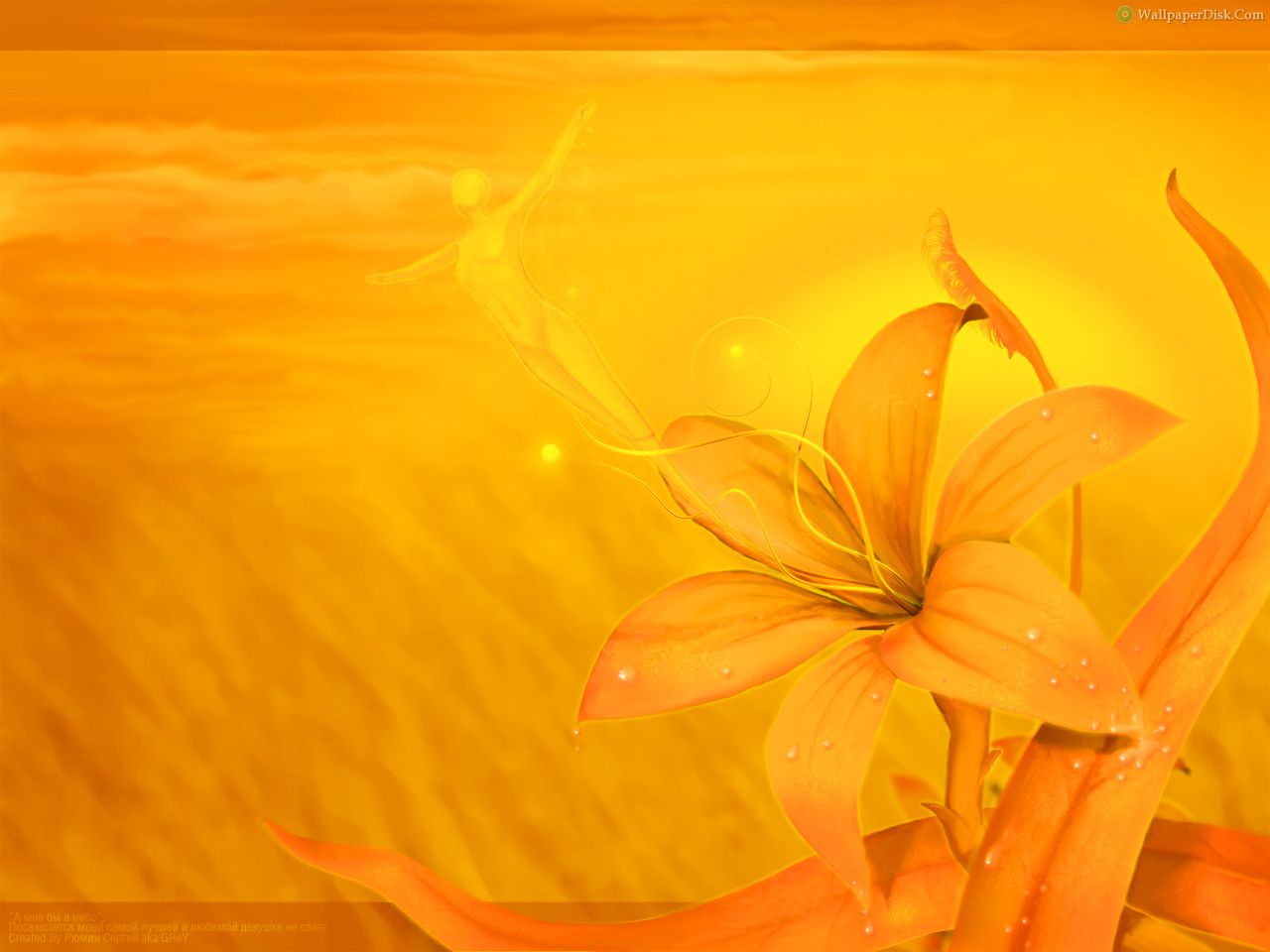 Best Yellow Flowers Desktop Wallpaper Background Collection