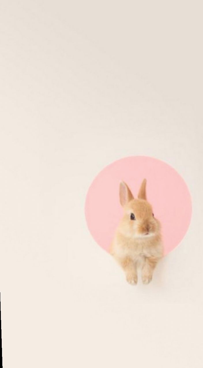 Rabbit, Cute, Cartoon, Grass, Lawn (1500x3250) - Desktop & Mobile Wallpaper
