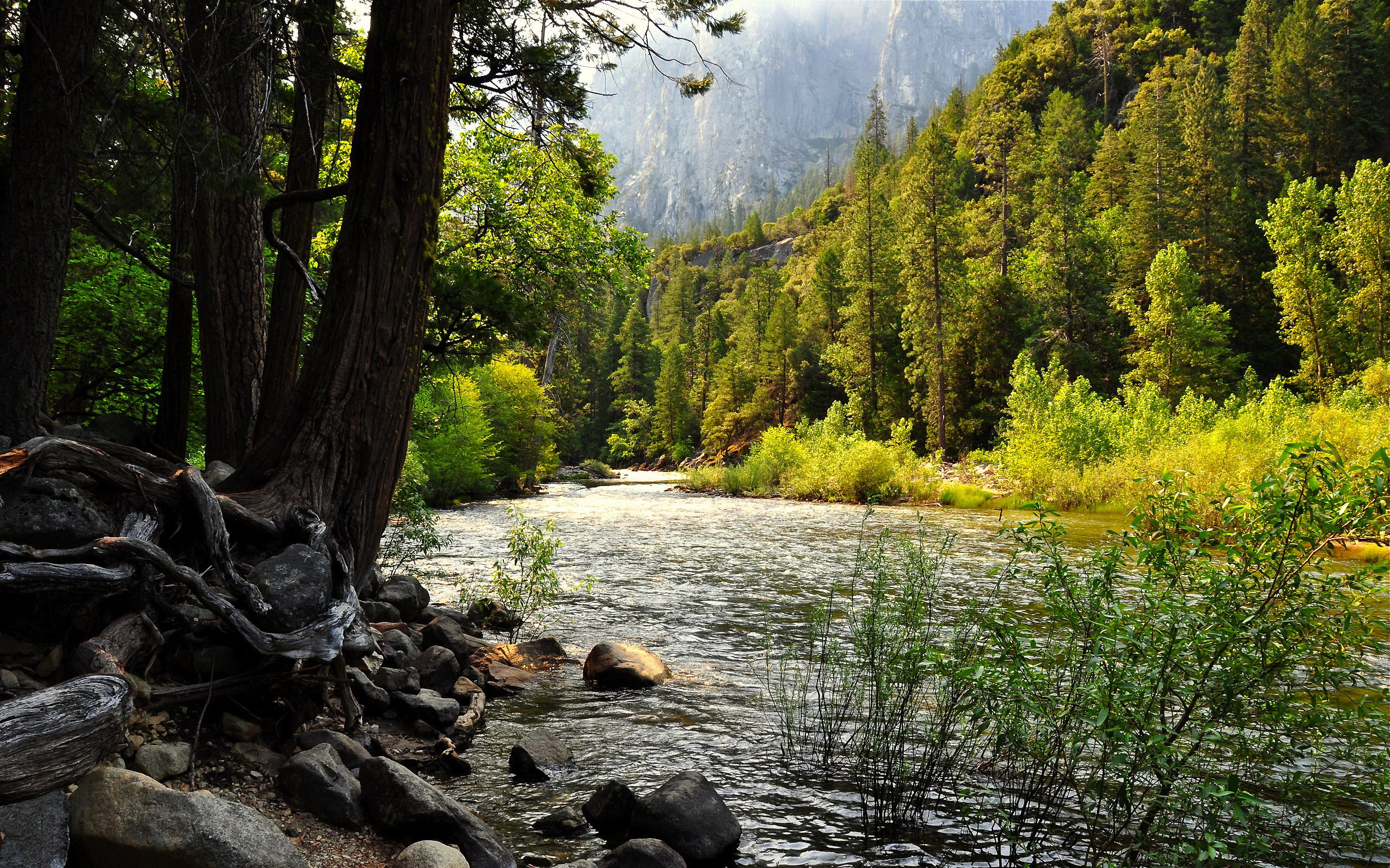 Yosemite National Park Desktop Wallpapers FREE on Latorocom 2560x1600