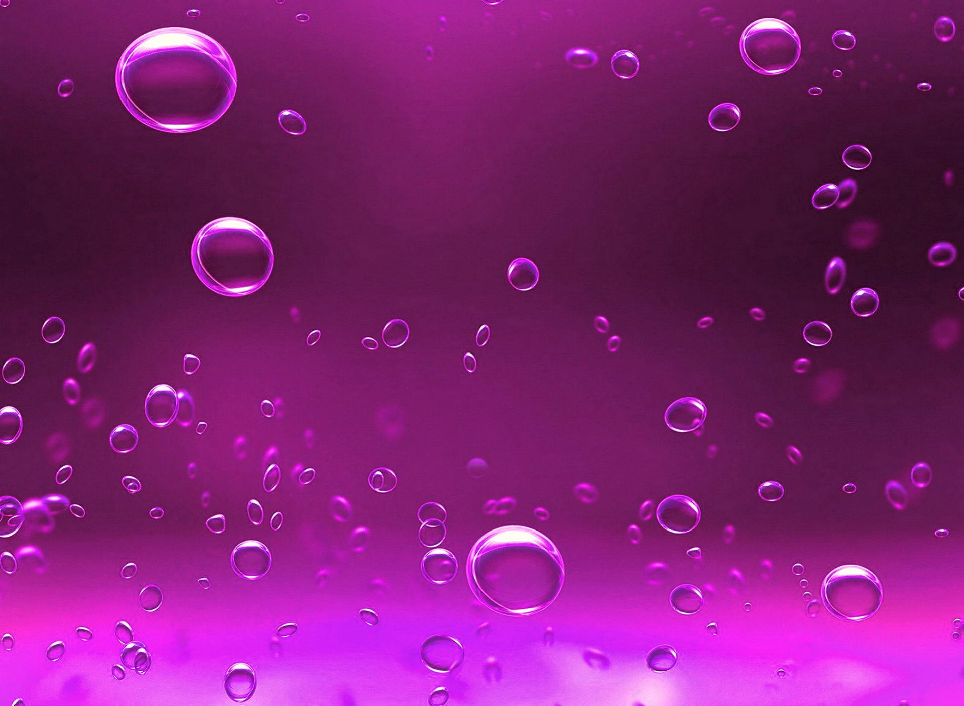 Pink Bubbles Screensaver Wallpaper