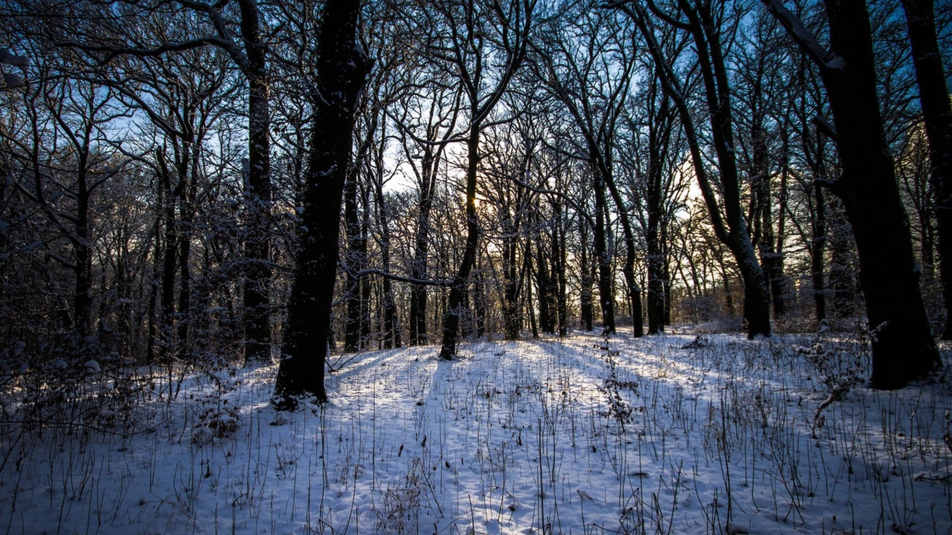 HD Winter Desktop Wallpaper