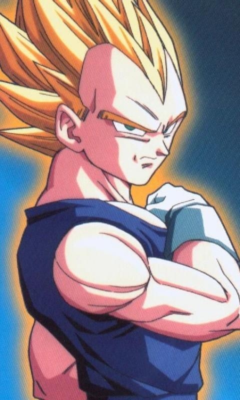 Vegeta Blackberry Wallpaper Phone HD
