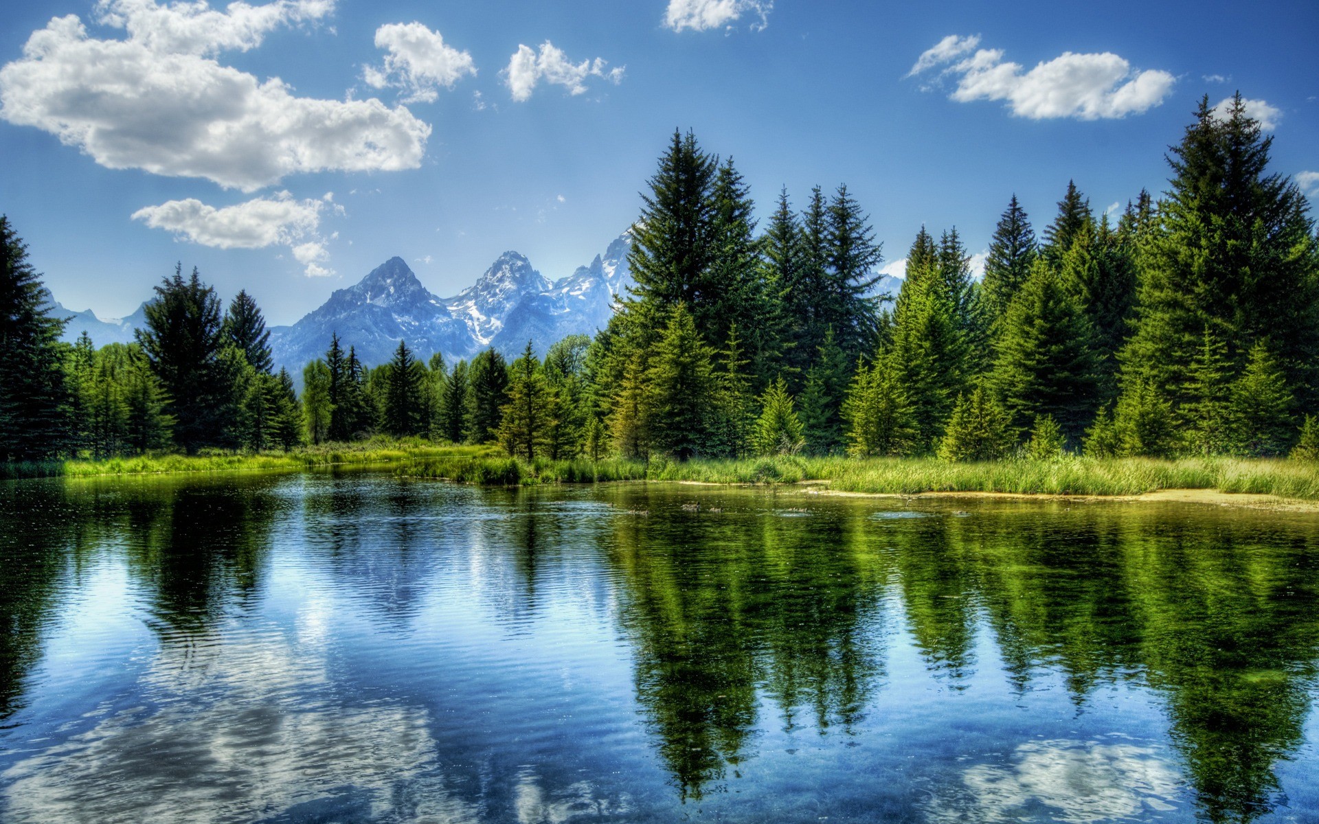 Peaceful Nature Wallpaper