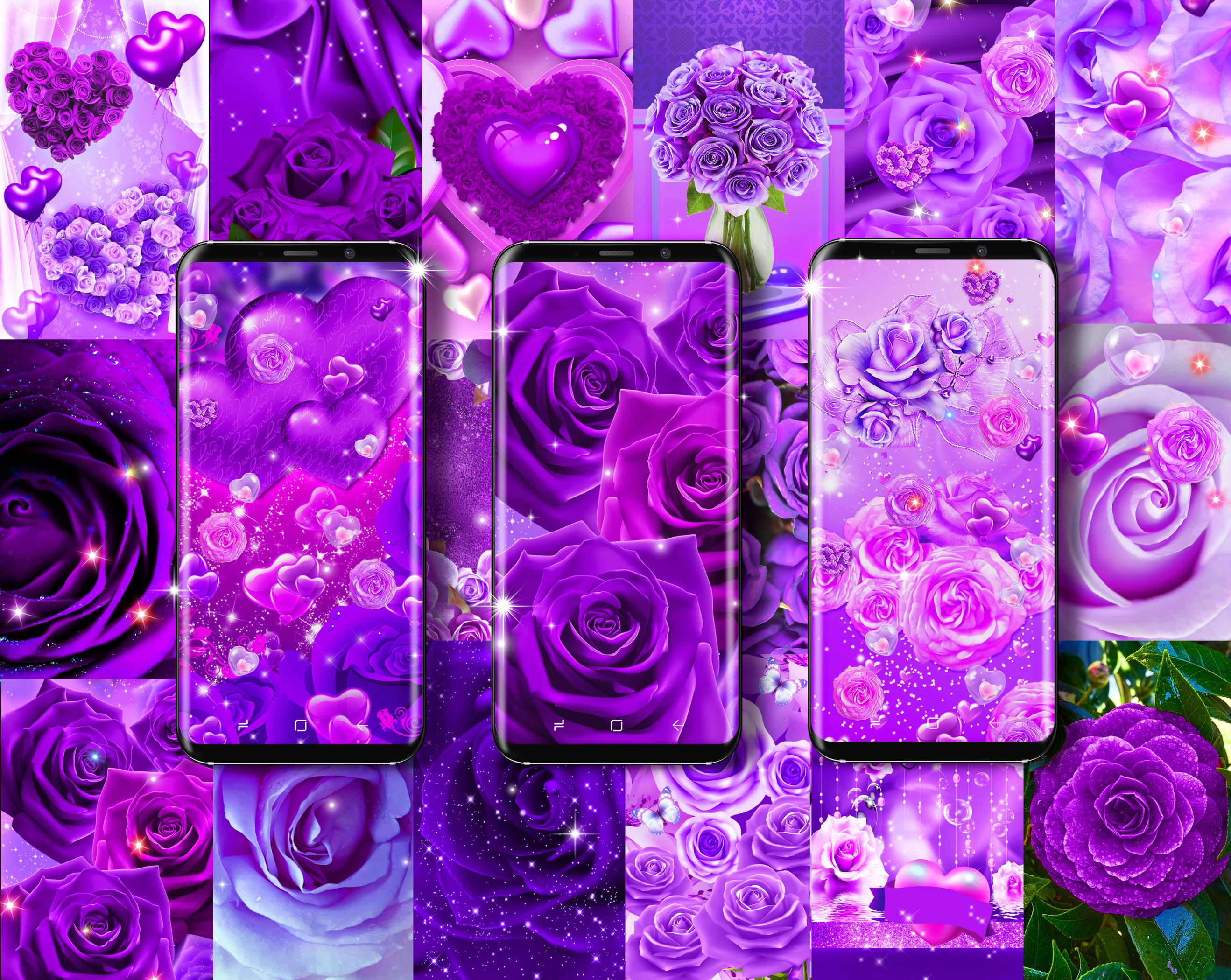 Purple rose love live wallpaper for Android   APK Download