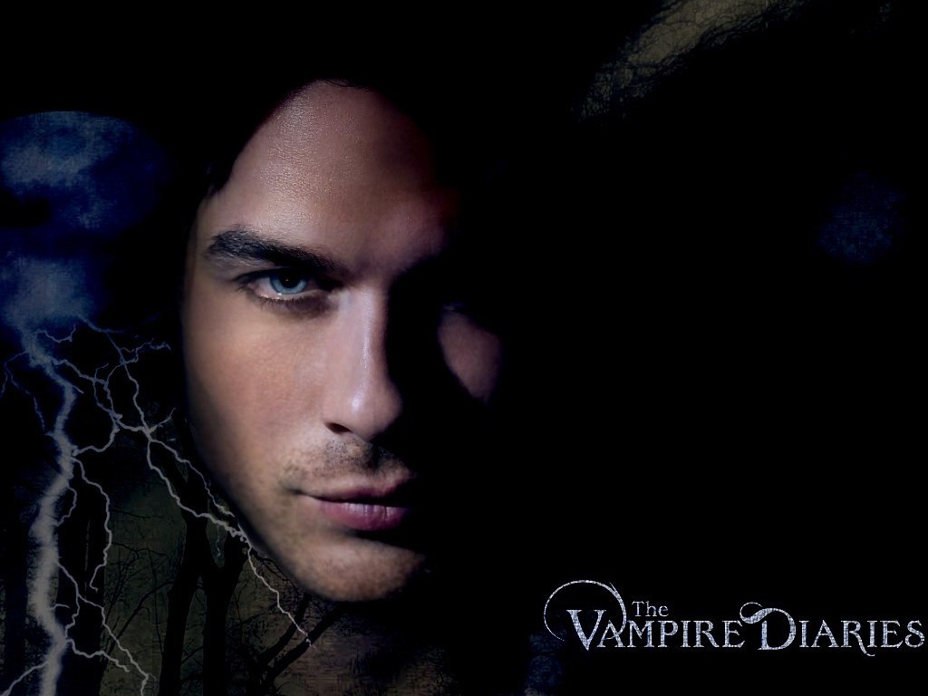 Pics Photos   The Vampire Diaries Damon 1024x768