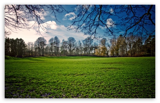 Beautiful Meadow Spring HD wallpaper for Standard 43 54 Fullscreen
