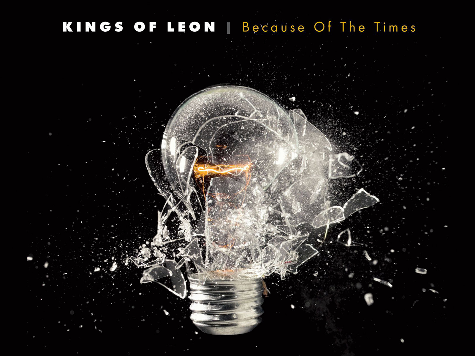 Kings Of Leon Because The Times