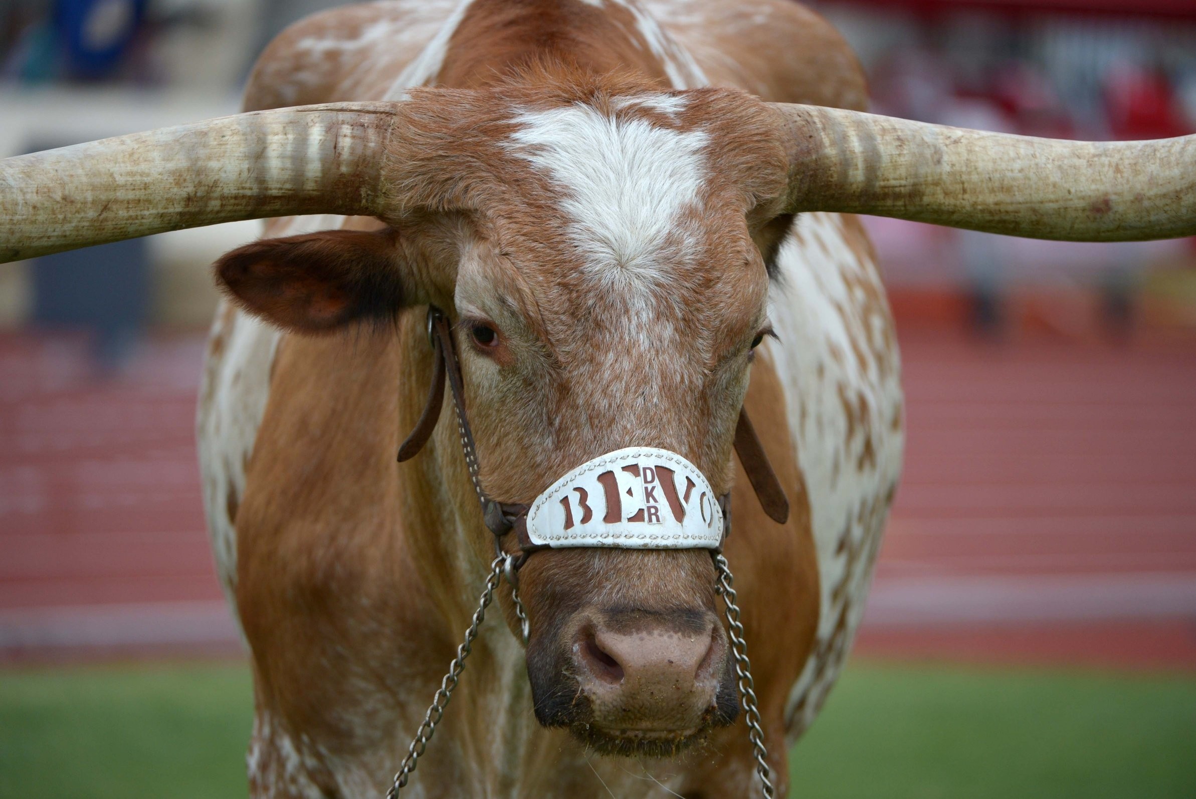 University Of Texas Longhorns Wallpaper
