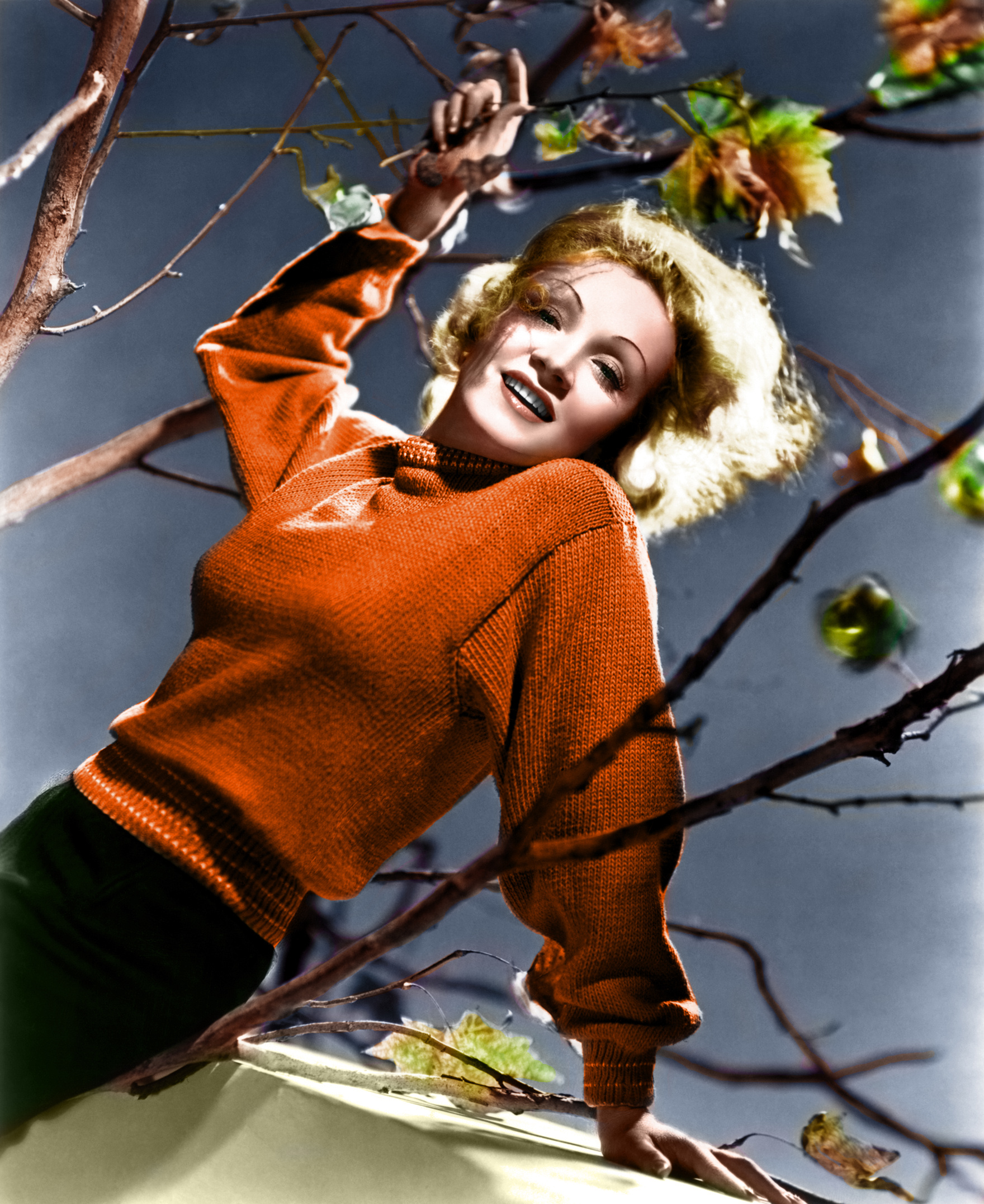 Classic Actresses Image Marlene Dietrich Color HD Wallpaper And
