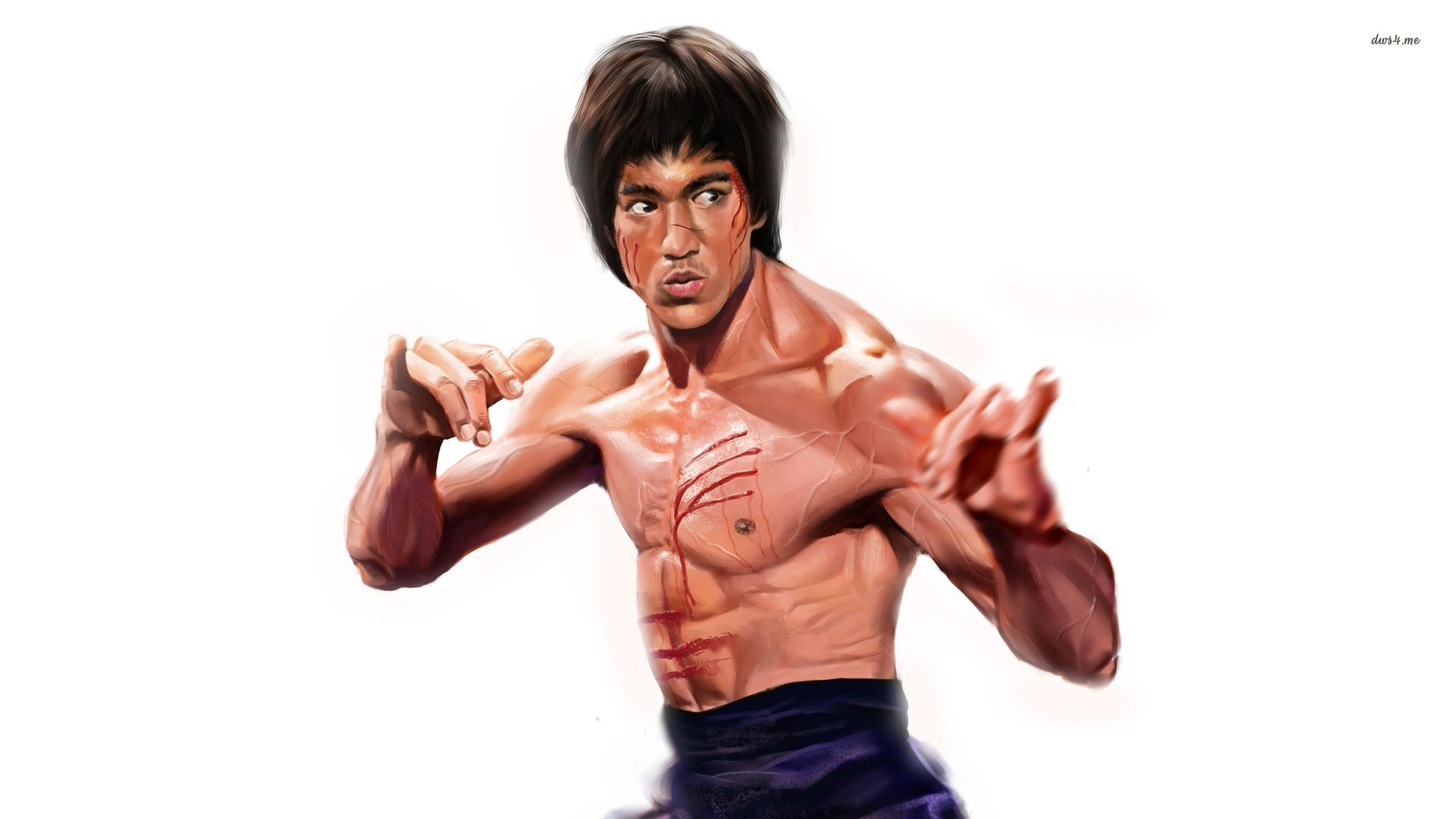 Pics Photos   Bruce Lee Wallpapers Bruce Lee Wallpapers