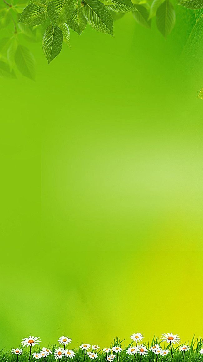 Free download Simple Green Background Dslr background images Studio  [650x1155] for your Desktop, Mobile & Tablet | Explore 16+ Green Design  Wallpapers | Cool Wallpaper Design, Red Design Wallpaper, Interior Design  Wallpaper