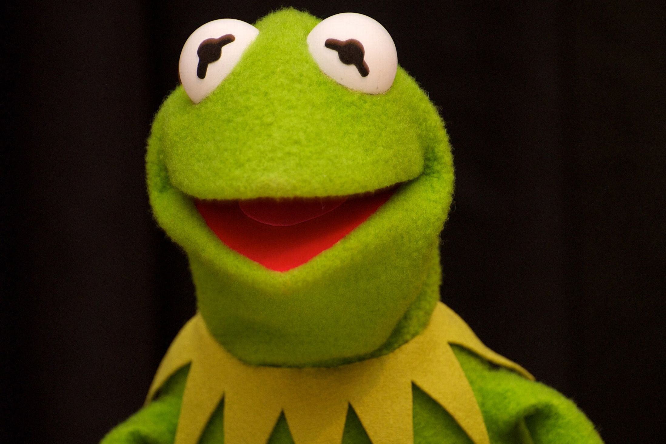 Kermit the frog hearts wallpaper 🌈 Kermit The Frog Beer Rela