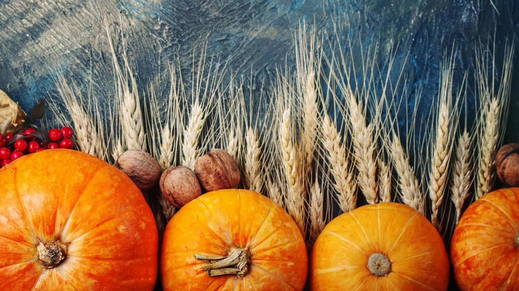 Pumpkins Pears Cranberries And Wheat On A Blue