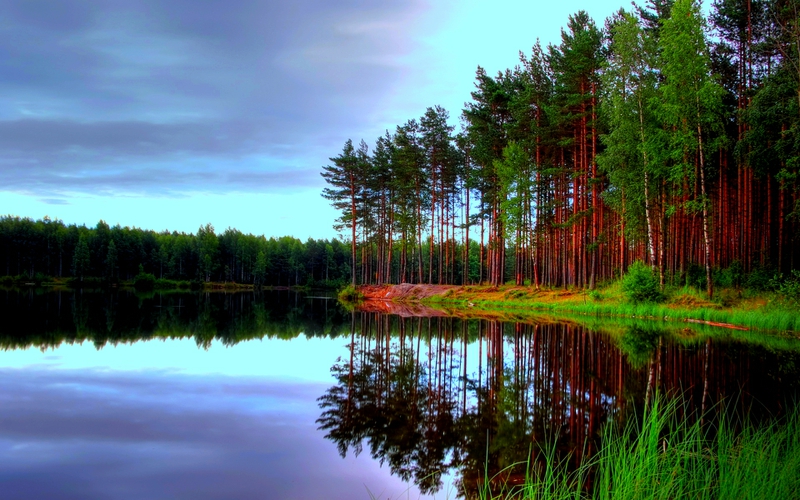 Calm Forest Lake Nature Lakes HD Desktop Wallpaper