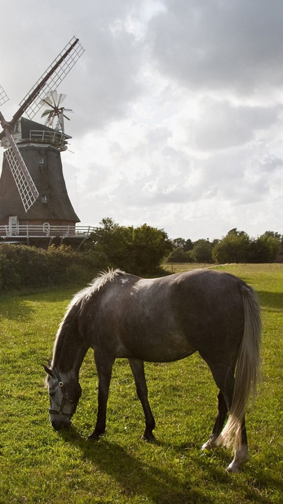 Horse And Windmill Wallpaper iPhone