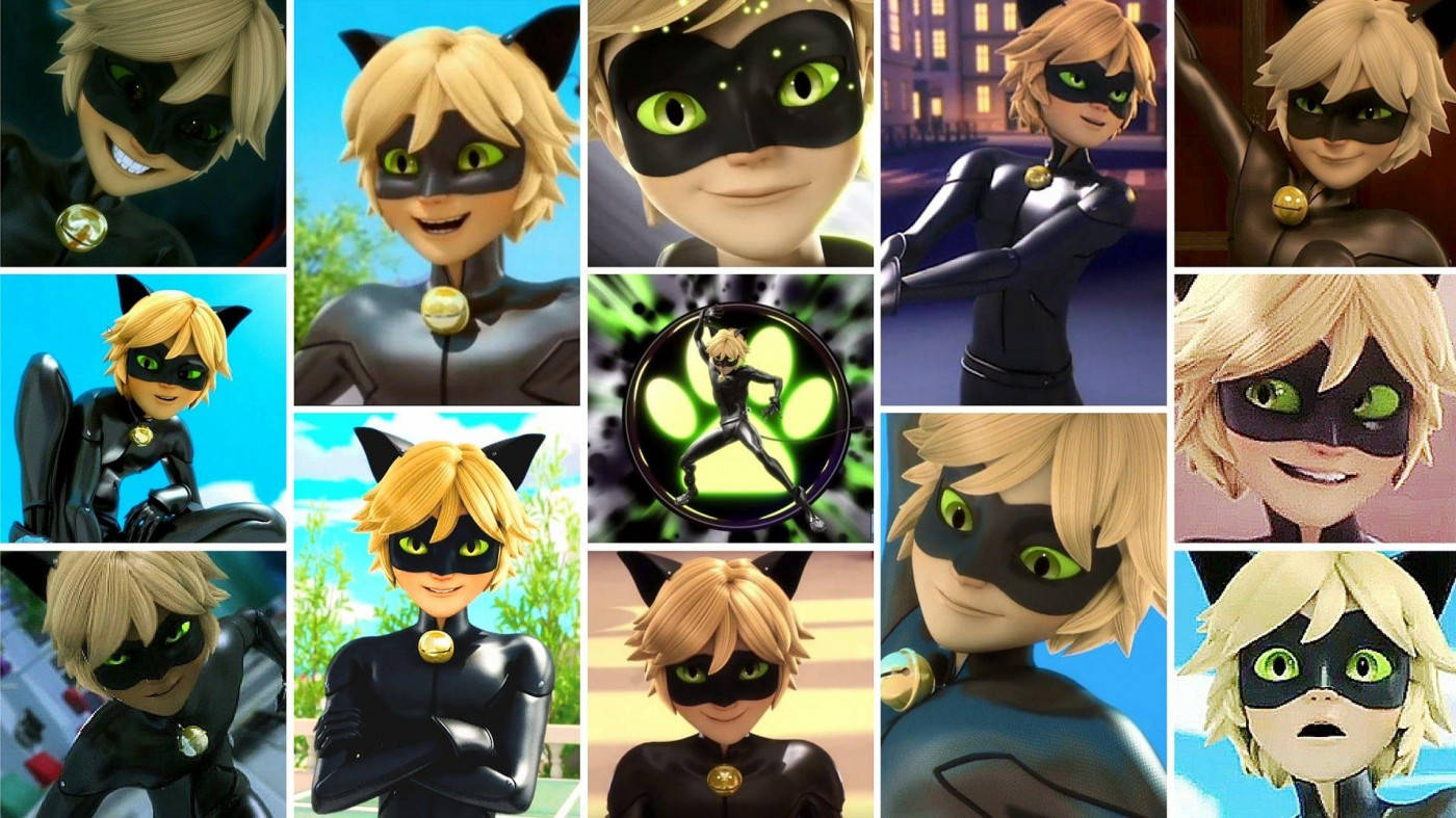 Ladybug And Cat Noir Wallpaper
