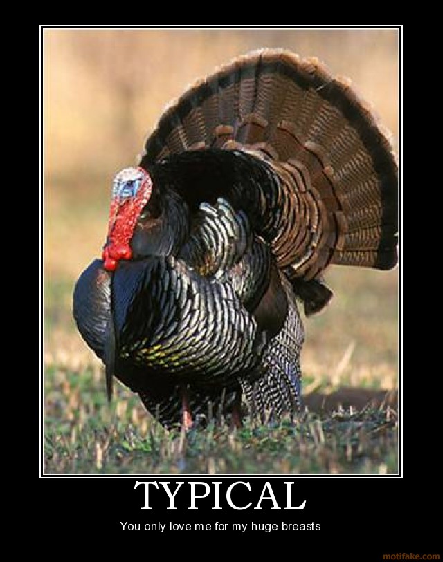 Typical People Always Like The Turkey With Big Breasts
