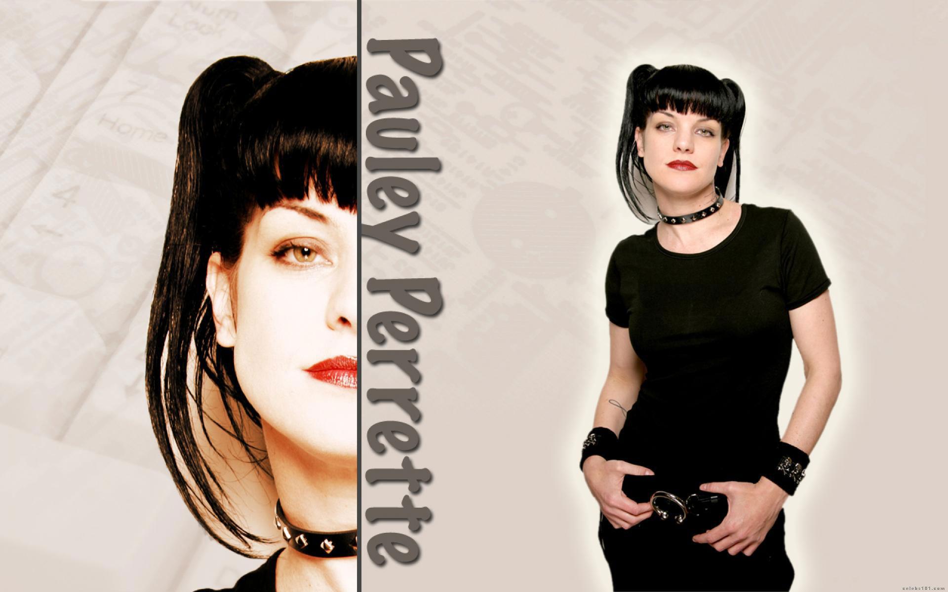 Pauley Perrette High Quality Wallpaper Size Of