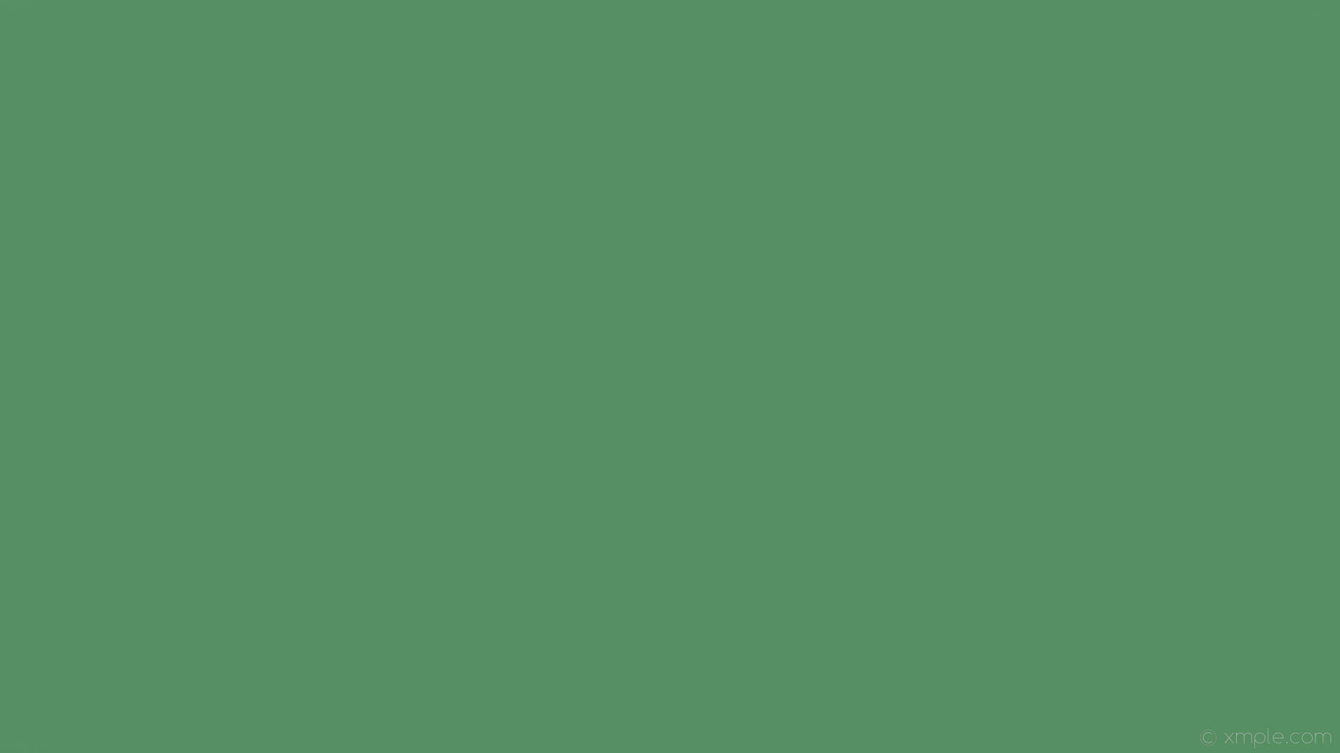 Details More Than Sage Green Wallpaper Plain