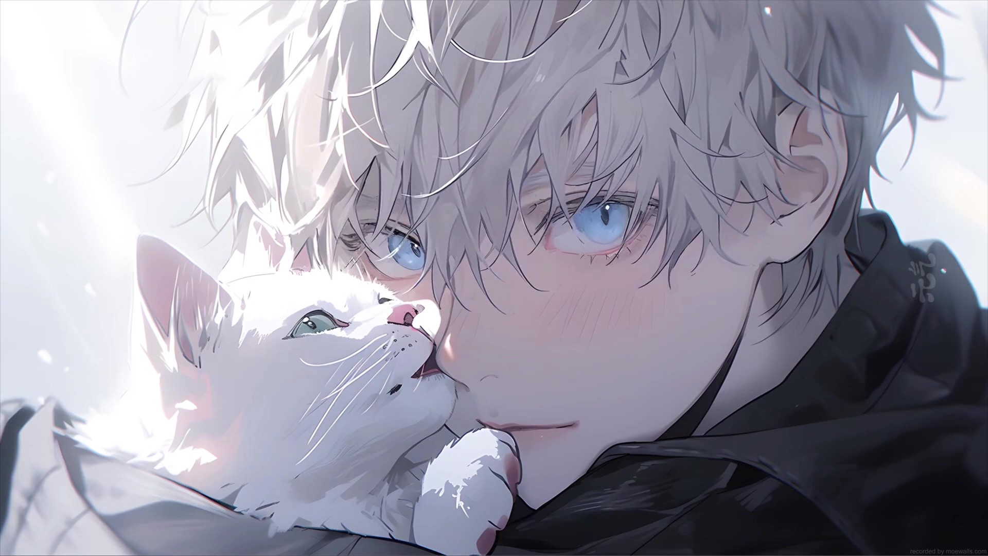 Anime boy with white hair and blue eyes holding a white cat, digital art