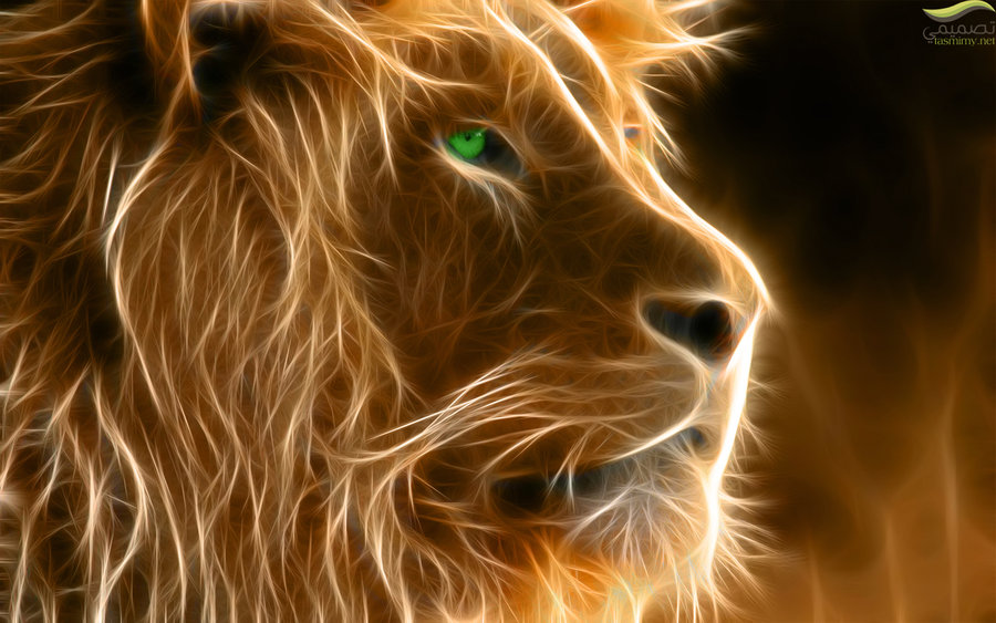 Lion Wallpaper 1280 By Tasmimy