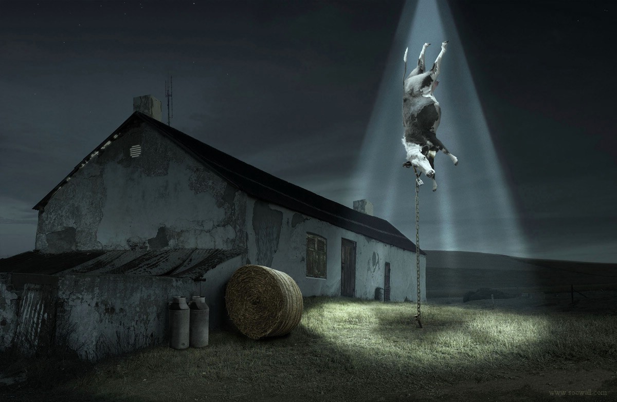 Free Download Pin Ufo Abduction Desktop Wallpaper 1200x783 For Images, Photos, Reviews