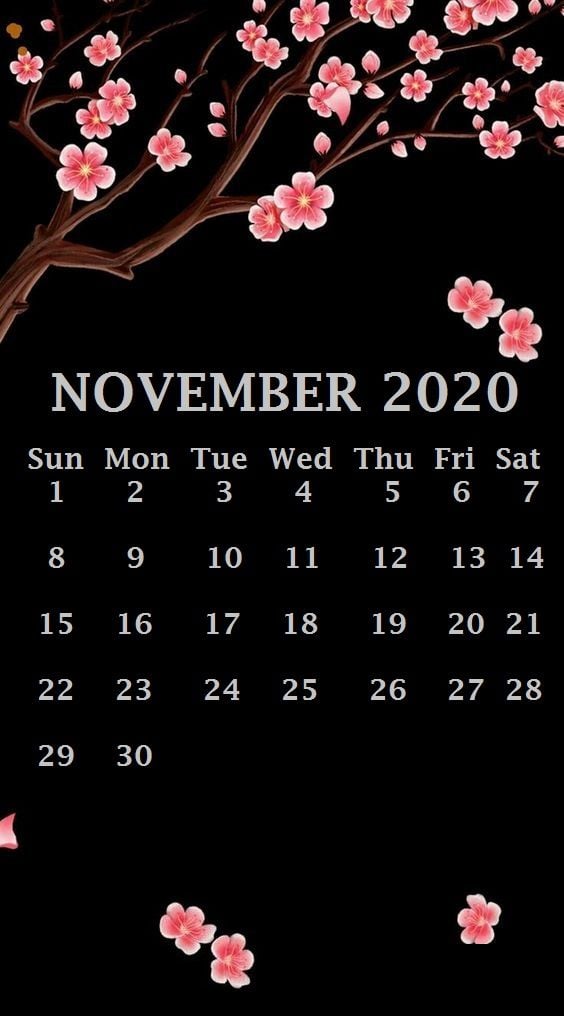 iPhone November 2020 Calendar Wallpaper in 2019 Calendar