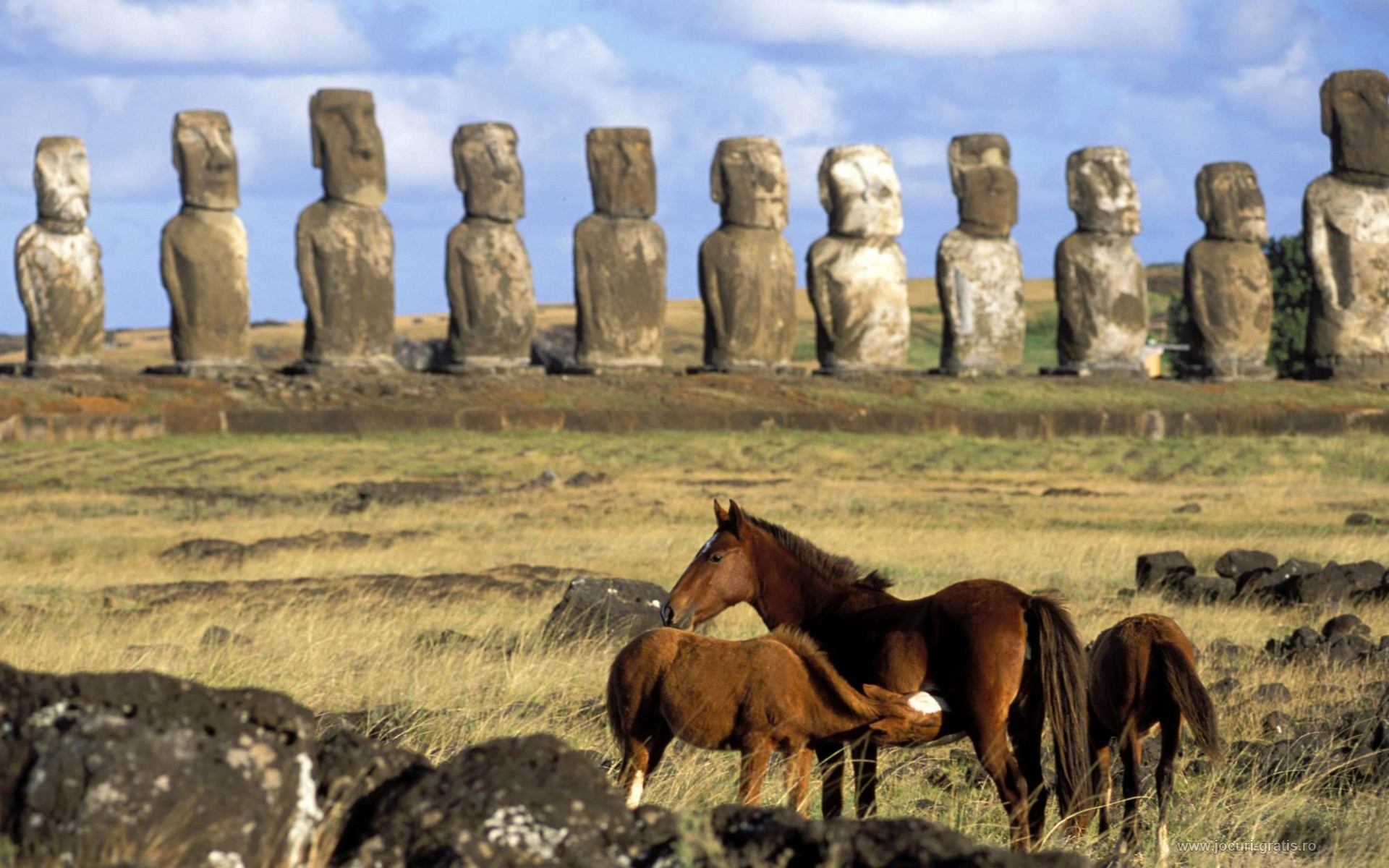 Easter Island Wallpaper Full HD Search
