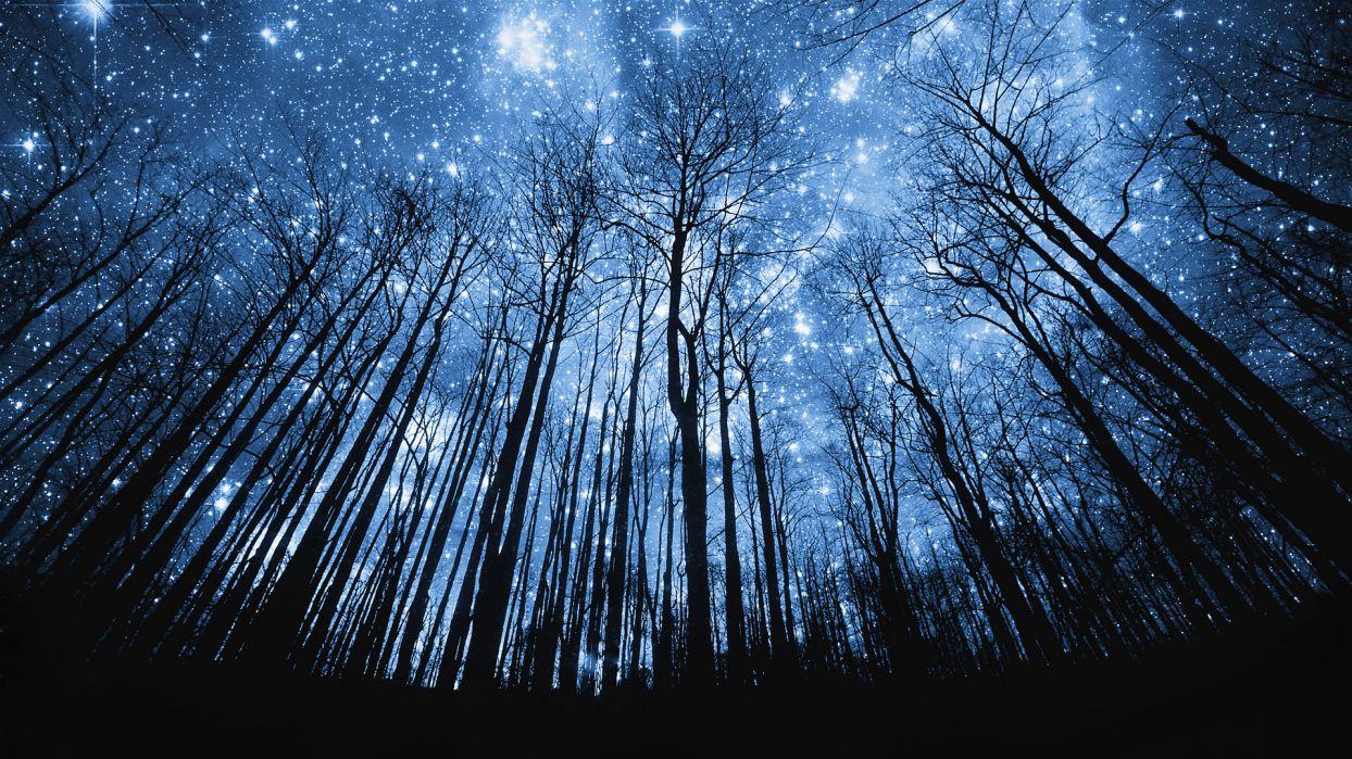 Nature Space Sky Trees Forest Hill Mountaun Silhouette Stars