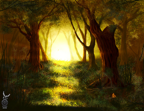 Faery Forest Background Photo Sharing