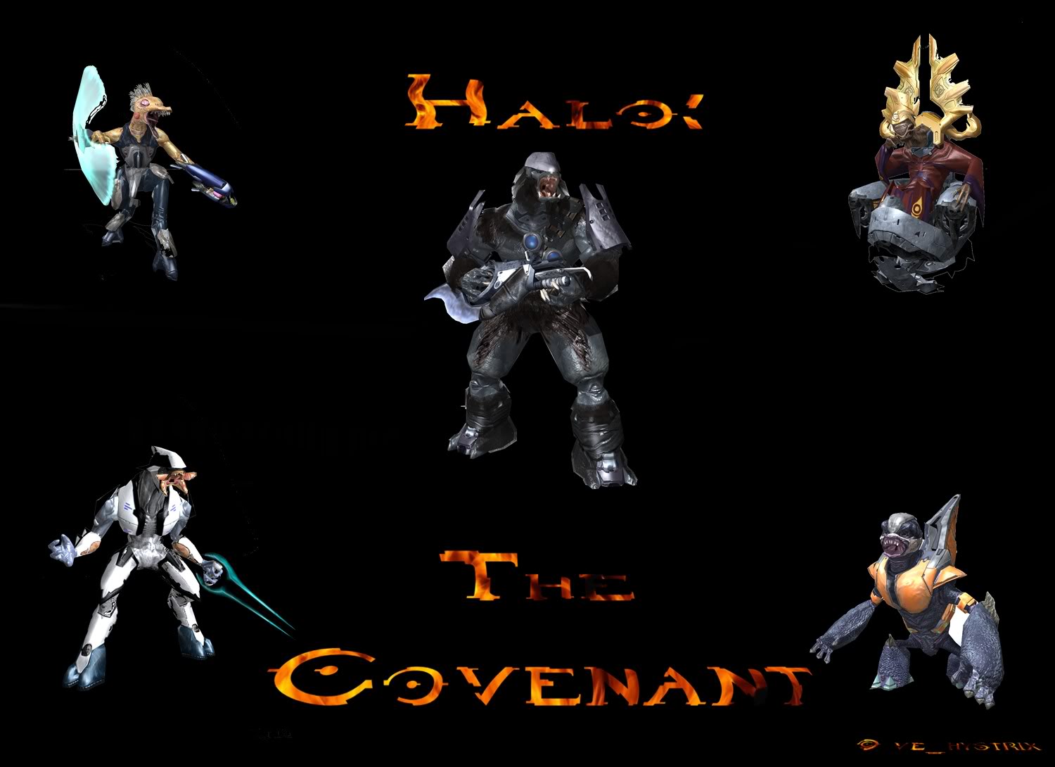 Halo The Covenant Wallpaper Desktop Background