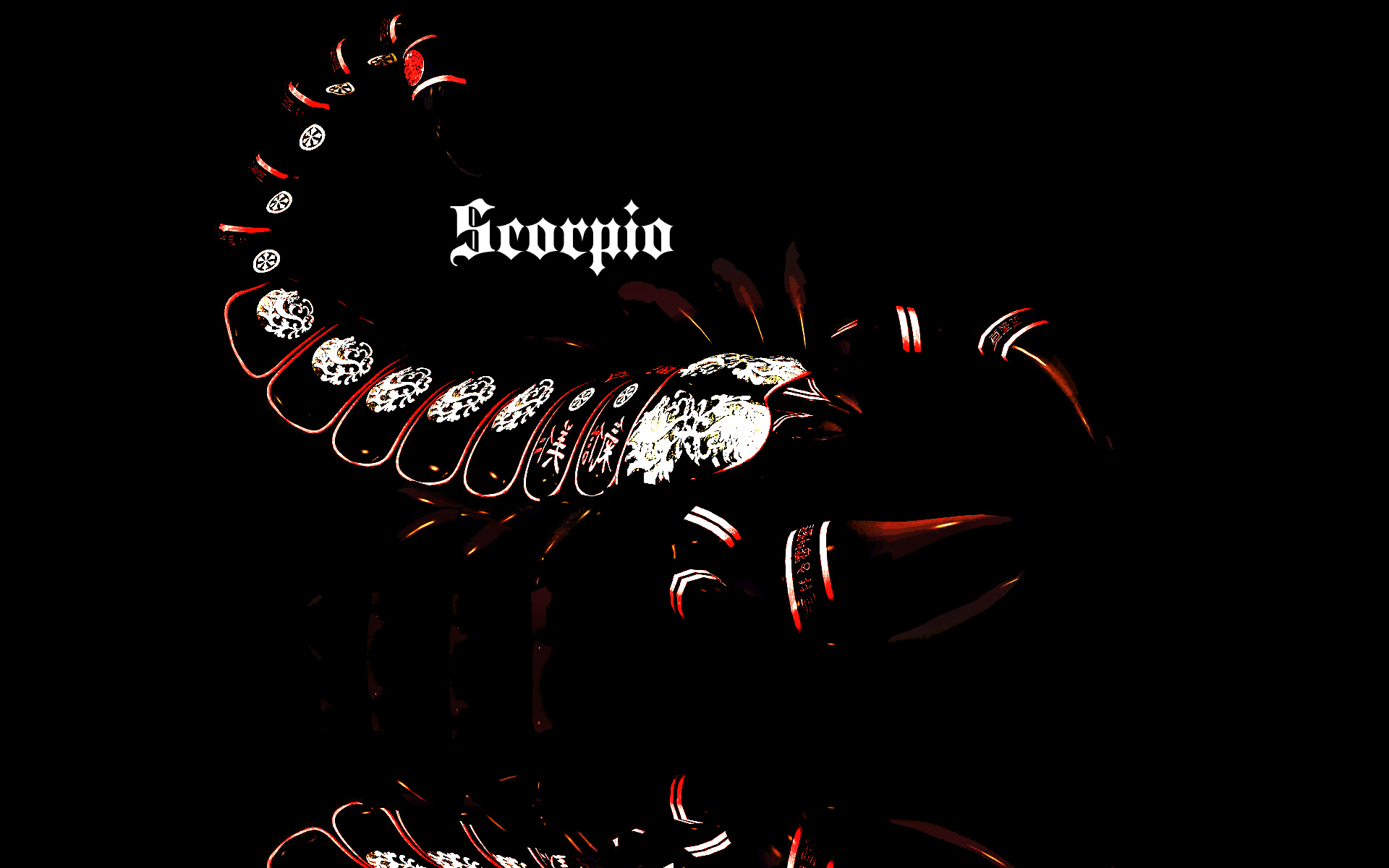 Scorpio Creative Picture Wallpaper And Image