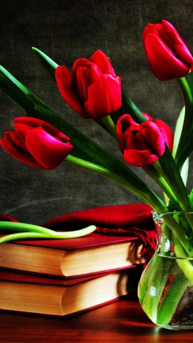 Red Tulips Iphone 5 HD Backgrounds iPhone5 Wallpaper Gallery