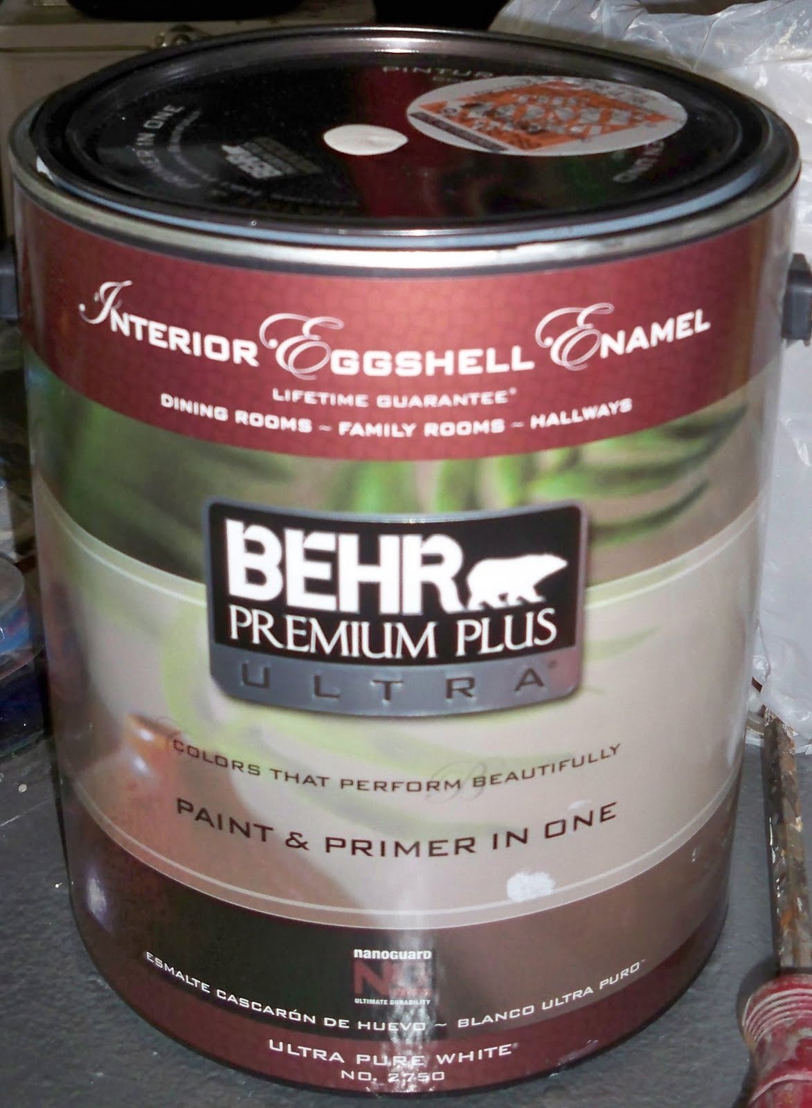 Behr Paint Zoom Background