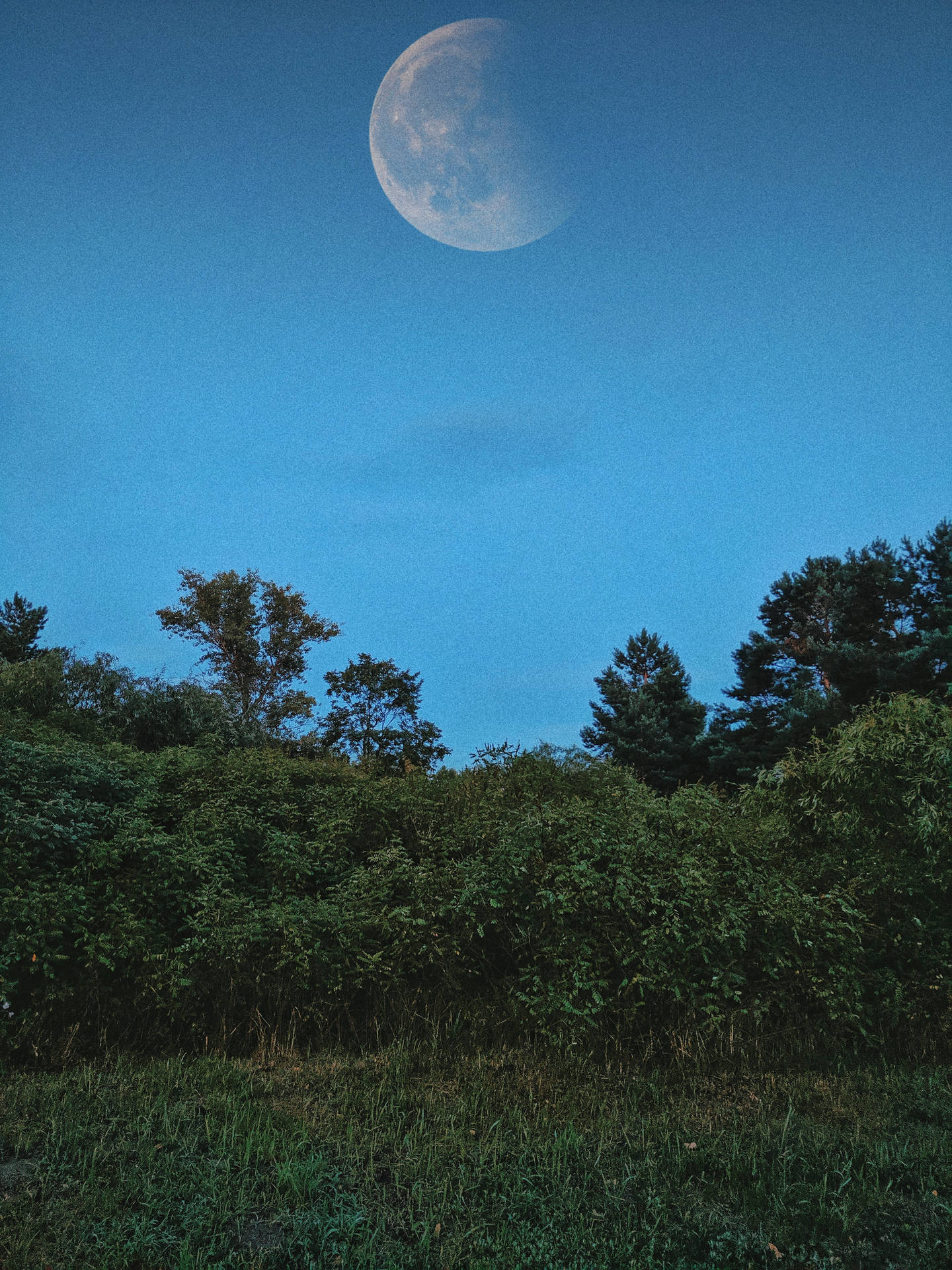 Lo Fi Wallpaper S