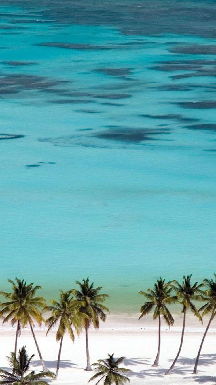 Tropical Beach Landscape iPhone Wallpaper HD For
