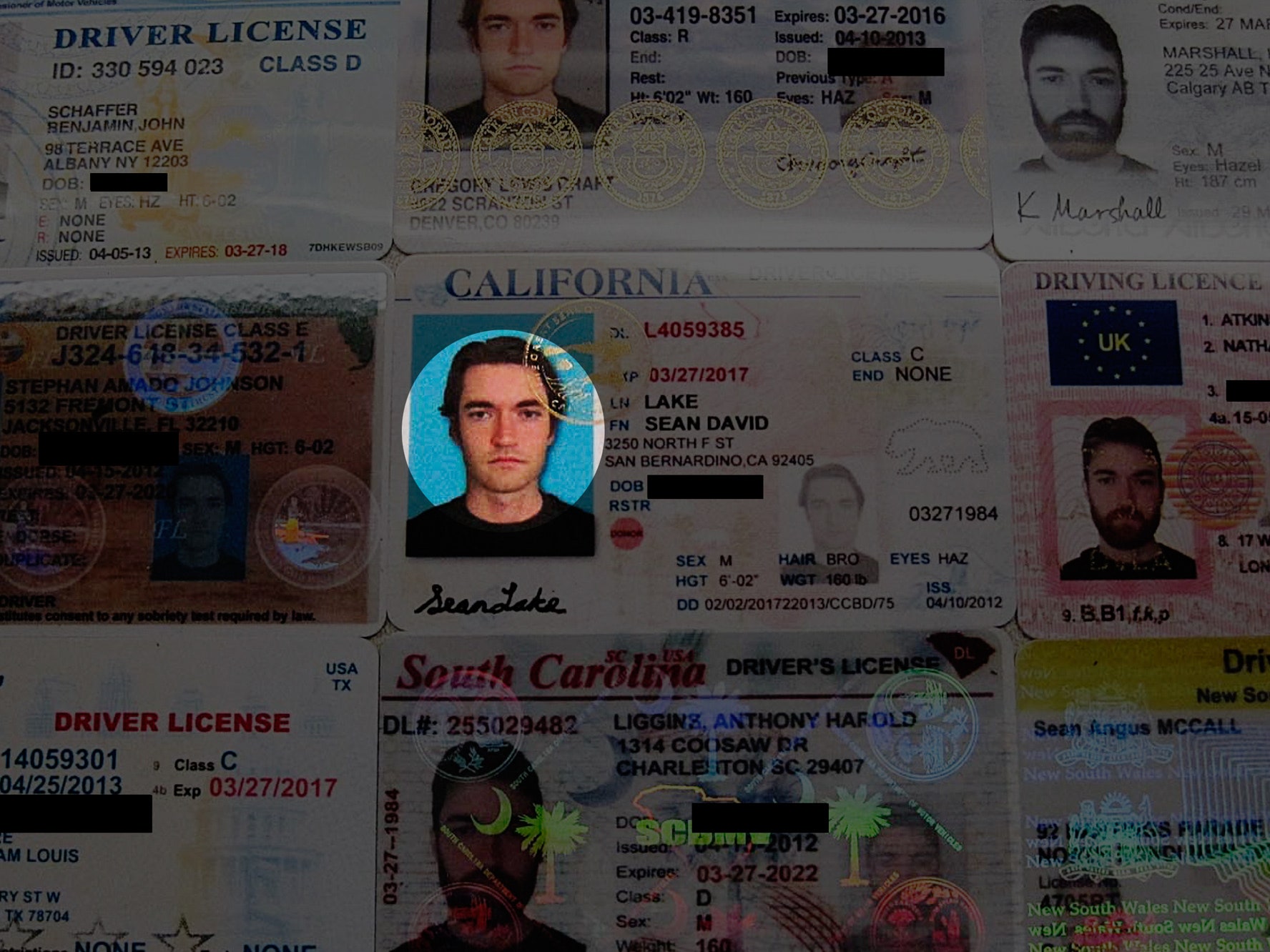 Collage of Driver's Licenses