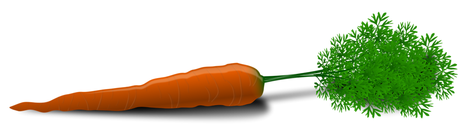 Carrot Stock Photo Illustration Of A