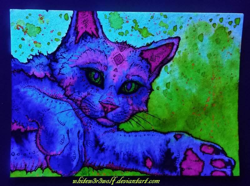 Go Back Gallery For Psychedelic Cat Wallpaper