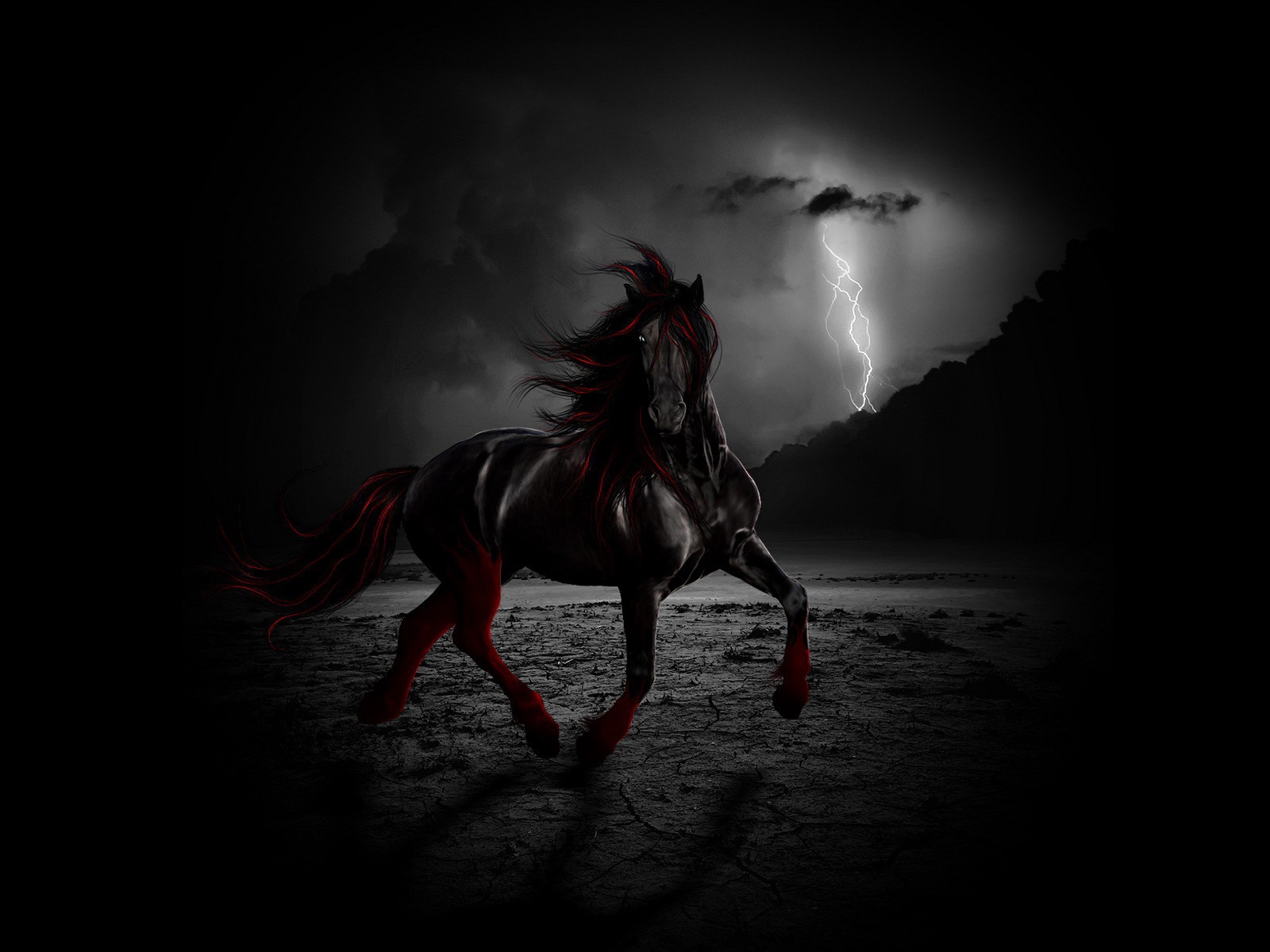 Black Horse Desktop HD Wallpaper Amazing Wallpaperz