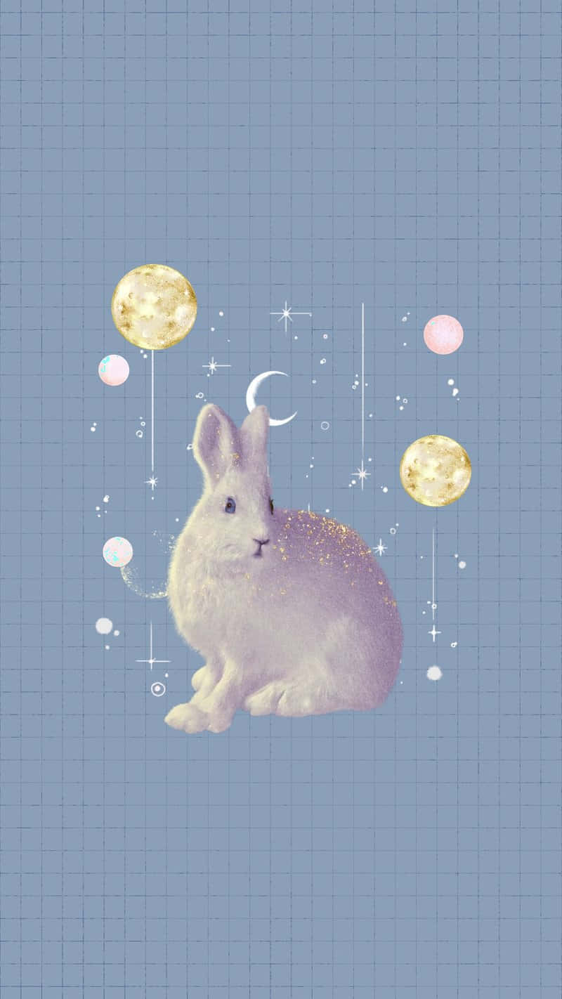 Bunny Aesthetic Wallpaper