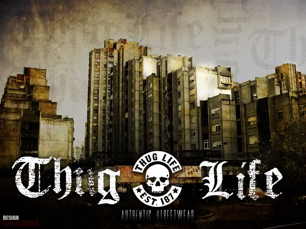 Free download Thug Life Wallpapers [1000x750] for your Desktop, Mobile &  Tablet | Explore 71+ Thug Life Wallpaper | Thug Wallpaper, 2pac Wallpaper  Thug Life, Thug Marilyn Wallpaper