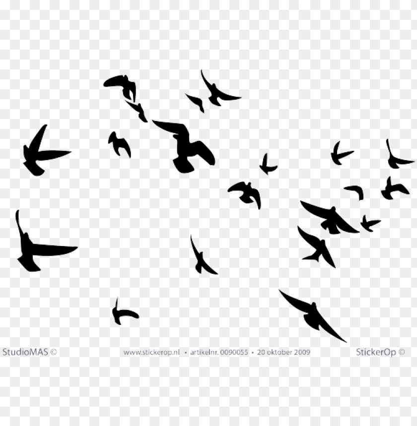 Wallhogs Soaring Birds Silhouette Wall Decal Png Image With