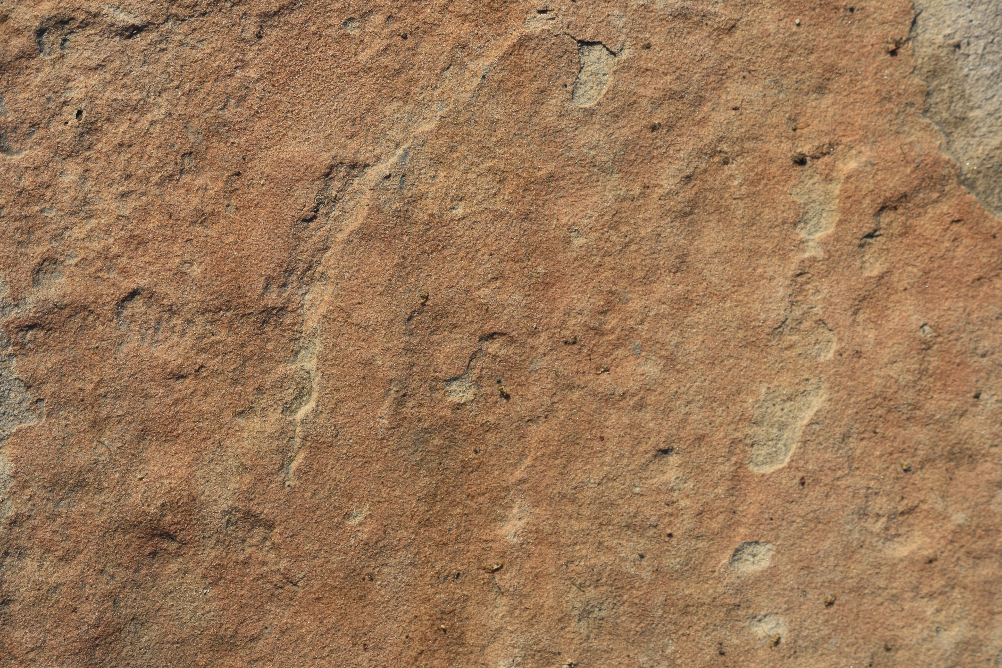 Sandstone Rock Texture Picture Photograph Photos Public