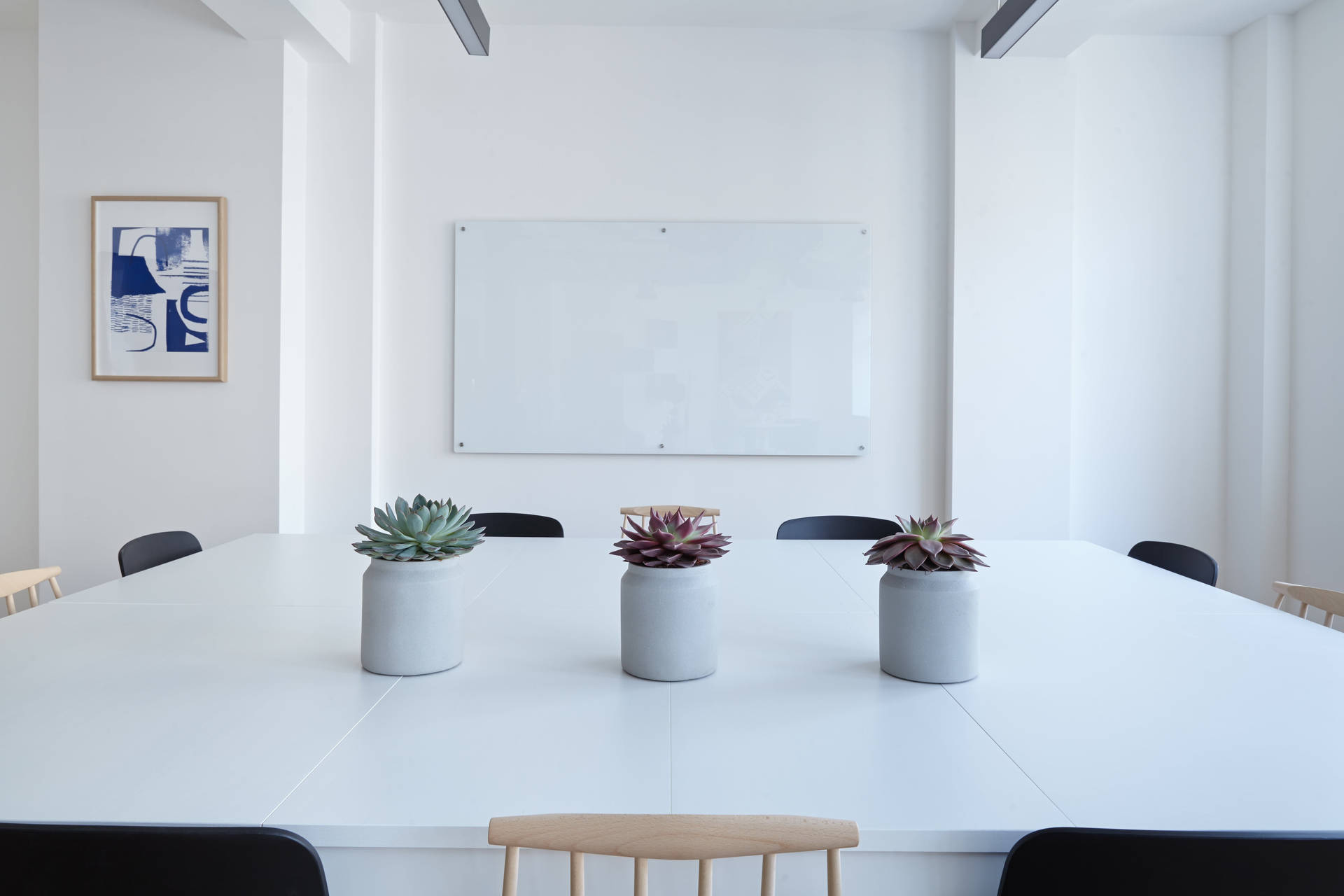 Zoom Office Wallpaper