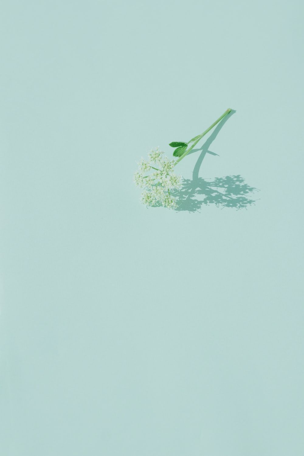 Pastel Green Aesthetic Laptop Wallpaper