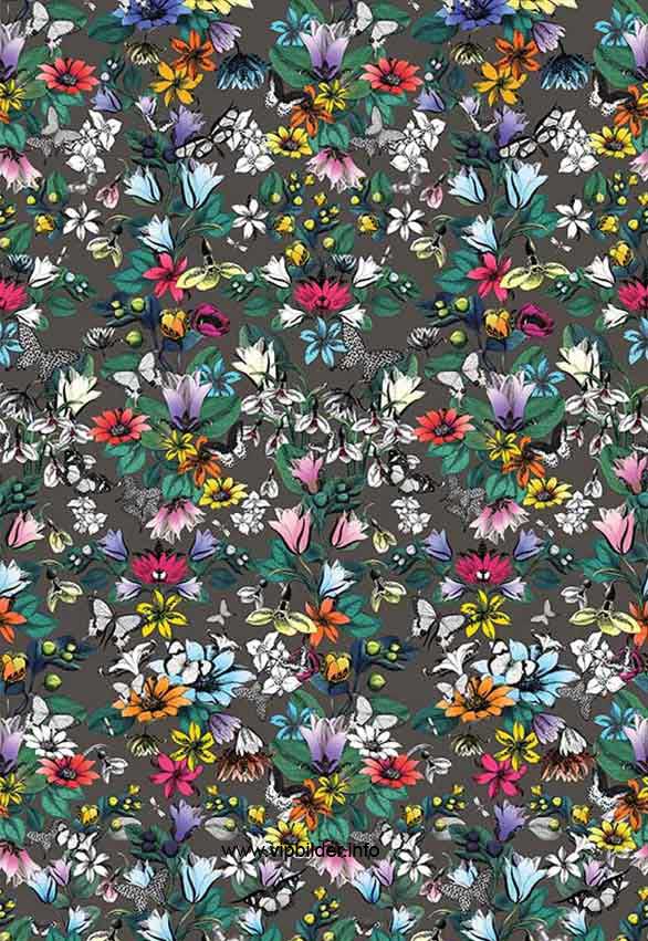 Download 586x851 Order Wallpaper Online